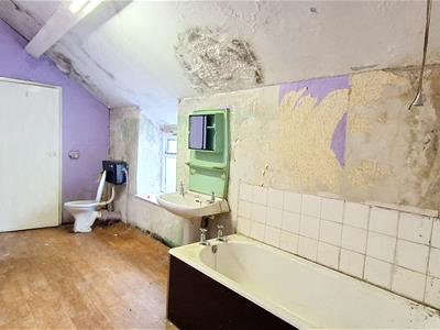 Picture 20